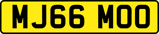 MJ66MOO