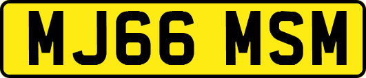 MJ66MSM