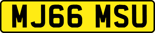 MJ66MSU