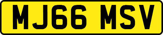 MJ66MSV