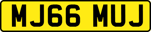 MJ66MUJ