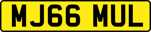 MJ66MUL
