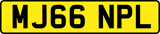 MJ66NPL