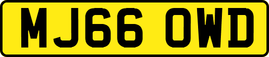 MJ66OWD