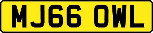 MJ66OWL