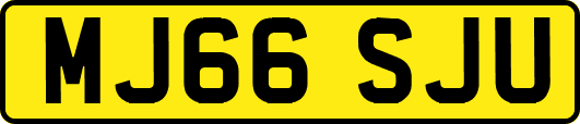 MJ66SJU
