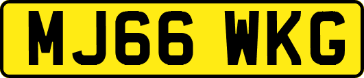 MJ66WKG