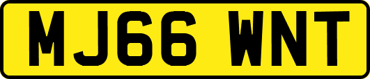 MJ66WNT