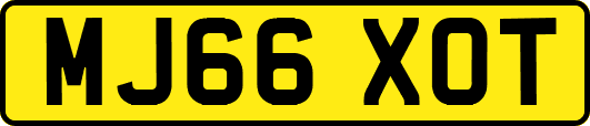 MJ66XOT