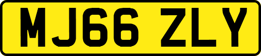 MJ66ZLY