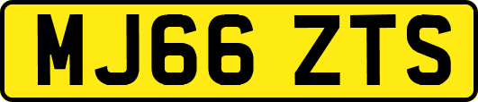 MJ66ZTS