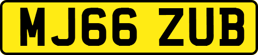 MJ66ZUB