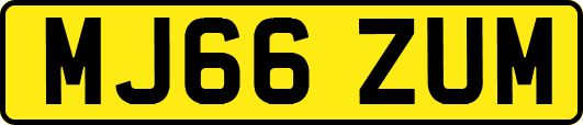 MJ66ZUM