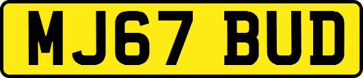 MJ67BUD