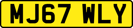 MJ67WLY
