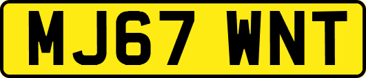 MJ67WNT