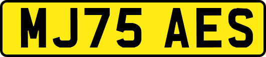 MJ75AES