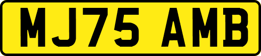 MJ75AMB