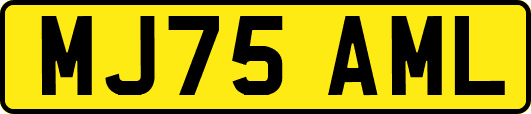 MJ75AML