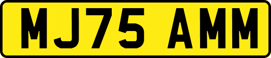 MJ75AMM
