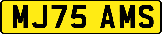 MJ75AMS