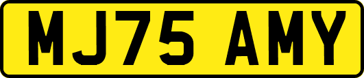 MJ75AMY