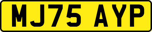 MJ75AYP
