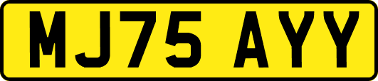 MJ75AYY