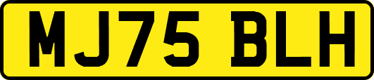 MJ75BLH