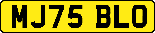 MJ75BLO