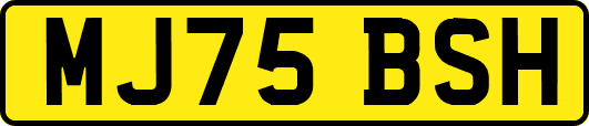 MJ75BSH