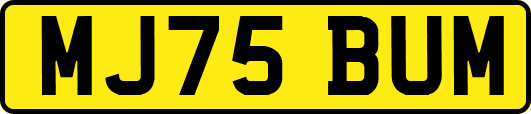 MJ75BUM