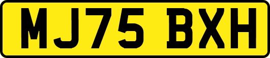 MJ75BXH
