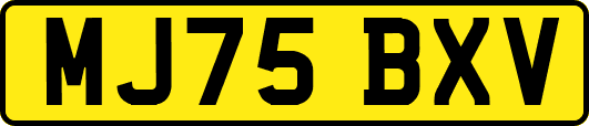 MJ75BXV