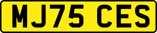 MJ75CES