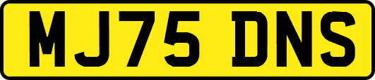 MJ75DNS