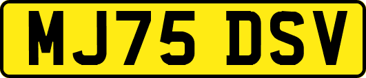 MJ75DSV