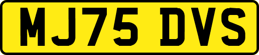 MJ75DVS