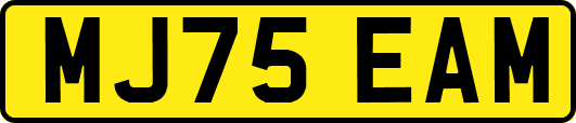 MJ75EAM