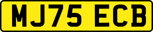 MJ75ECB