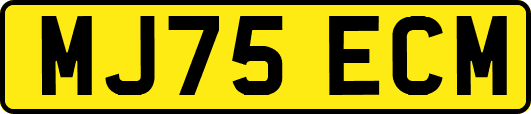MJ75ECM