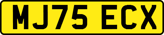 MJ75ECX