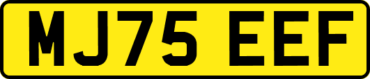 MJ75EEF