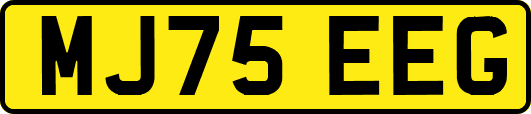 MJ75EEG