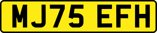 MJ75EFH