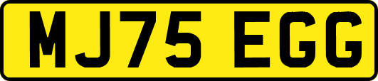 MJ75EGG