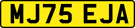 MJ75EJA