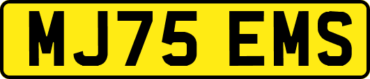 MJ75EMS