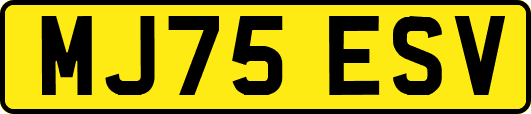 MJ75ESV