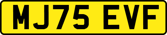 MJ75EVF